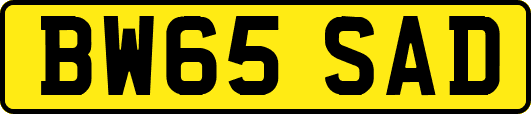 BW65SAD