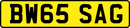 BW65SAG