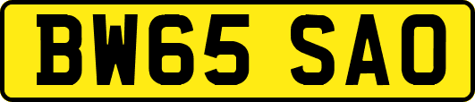 BW65SAO