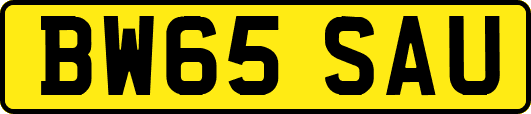 BW65SAU