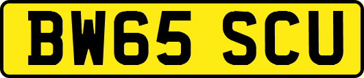 BW65SCU