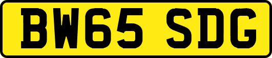 BW65SDG