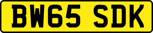 BW65SDK