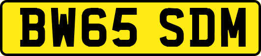 BW65SDM