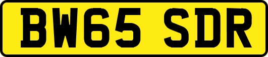 BW65SDR