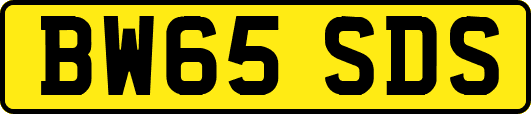 BW65SDS