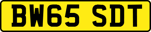 BW65SDT