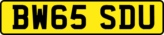 BW65SDU