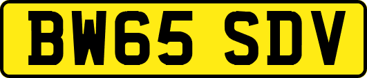 BW65SDV
