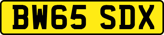 BW65SDX
