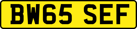 BW65SEF