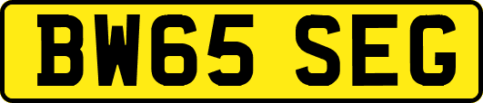 BW65SEG