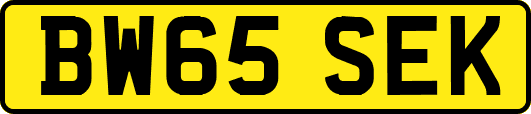 BW65SEK