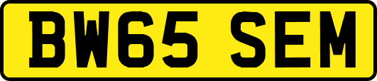 BW65SEM