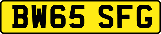 BW65SFG