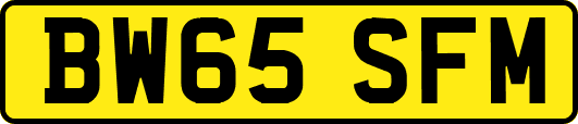 BW65SFM