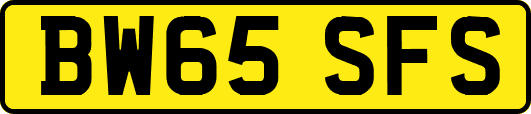 BW65SFS