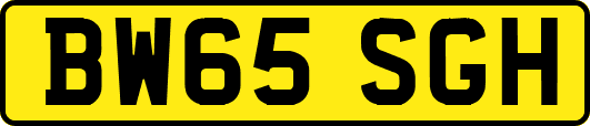 BW65SGH