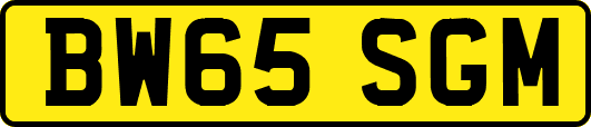 BW65SGM