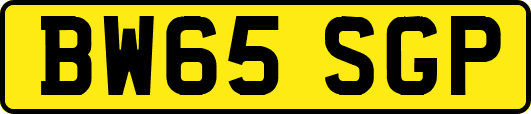 BW65SGP