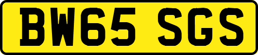 BW65SGS