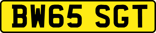 BW65SGT