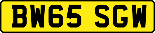 BW65SGW