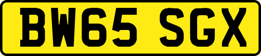 BW65SGX