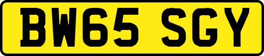 BW65SGY