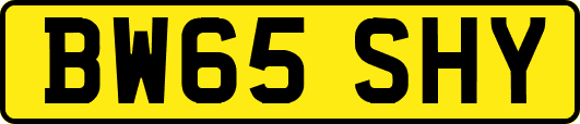 BW65SHY