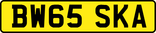 BW65SKA