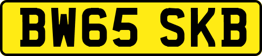 BW65SKB