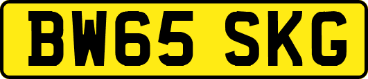BW65SKG