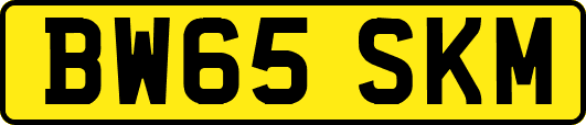 BW65SKM