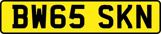 BW65SKN