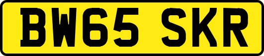 BW65SKR