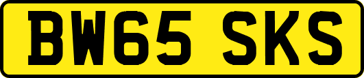 BW65SKS