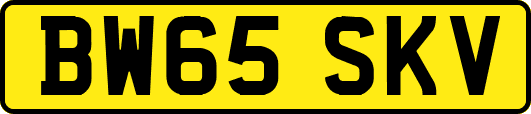 BW65SKV