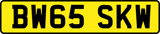 BW65SKW