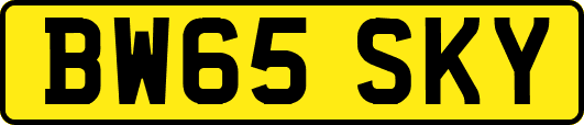 BW65SKY