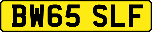 BW65SLF