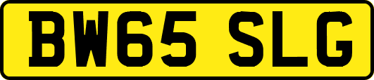 BW65SLG