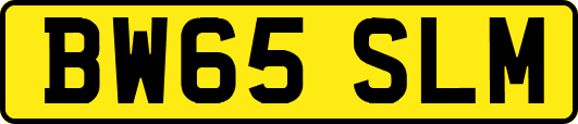 BW65SLM