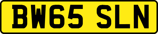 BW65SLN