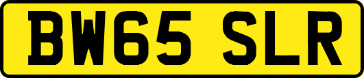 BW65SLR