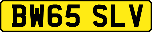 BW65SLV