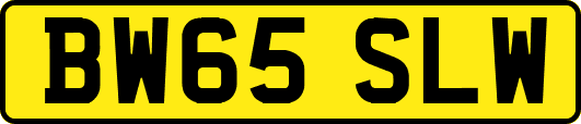 BW65SLW