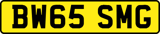BW65SMG