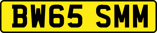 BW65SMM