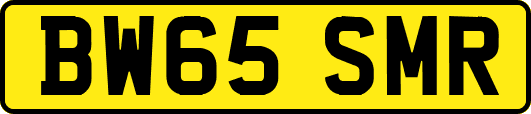 BW65SMR